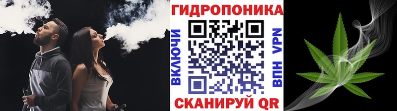 Купить наркотики Волхов Гашиш  Бошки Шишки  Cocaine  Альфа ПВП  МЕФ 