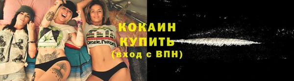 молекула духа Дмитров