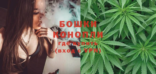 молекула духа Дмитров