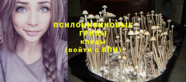 молекула духа Дмитров
