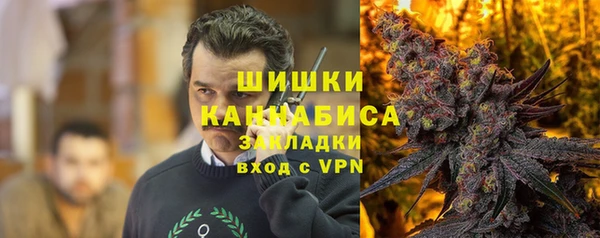 молекула духа Дмитров