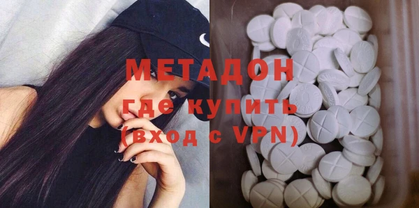 индика Ельня