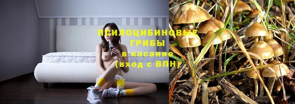молекула духа Дмитров