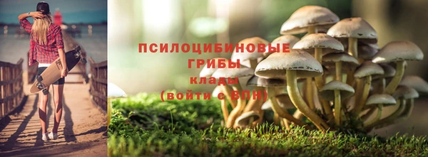 молекула духа Дмитров