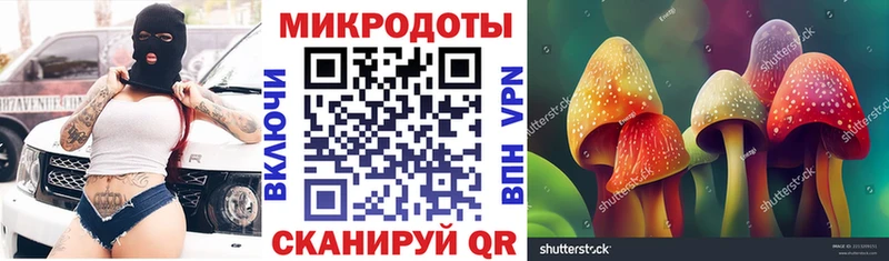 Псилоцибиновые грибы Cubensis  Волхов 