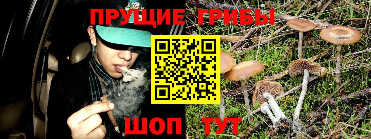 Галлюциногенные грибы ЛСД Волхов