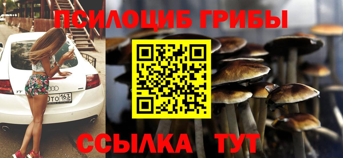Псилоцибиновые грибы MAGIC MUSHROOMS  Вход с VPN  Волхов  Псилоцибиновые грибы мухоморы 