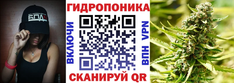 хочу наркоту  Волхов  МЕГА как зайти  Шишки марихуана план 