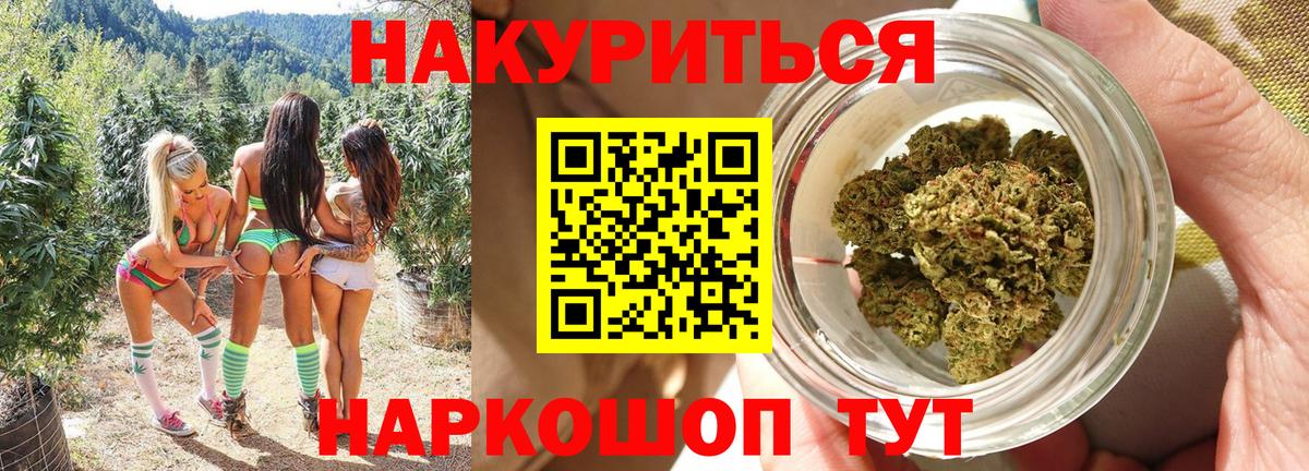 Бошки Шишки сатива Волхов